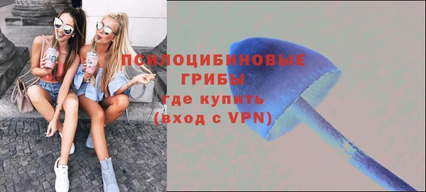 ешки Алзамай