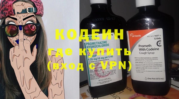 гидра Вязьма