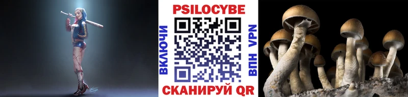 Псилоцибиновые грибы ЛСД  сколько стоит  Ковдор 